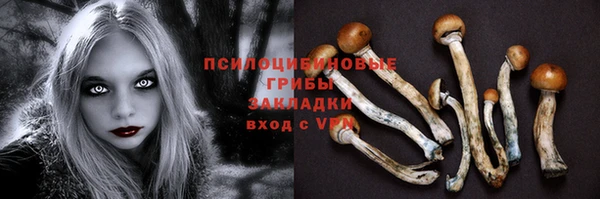 эйфоретик Осташков