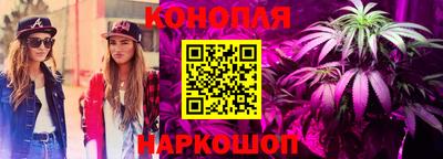винт Сланцы