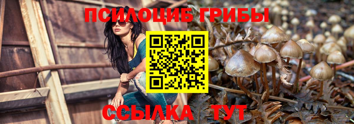 Галлюциногенные грибы GOLDEN TEACHER  Галлюциногенные грибы Psilocybine cubensis  Вход с VPN  Советск 