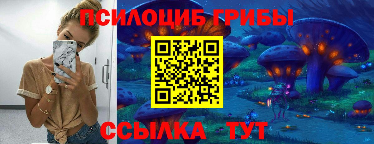 Псилоцибиновые грибы Cubensis Советск
